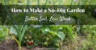 How To Make A No Dig Garden Fertile
