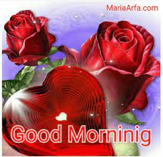 Wish or greet your near and dear ones good morning with these beautiful and lovely good morning blessings images. 60 Good Morning Images Free Download Good Morning Photos Hd
