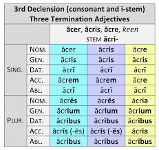 3rd Declension Adjectives Classification And Paradigms