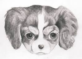 how to draw a puppy learn how to draw