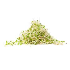 alfalfa sprouts nutrition facts and