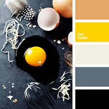 black and gray color palette ideas