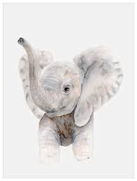 Baby Elephant Trumpet Jungle Safari