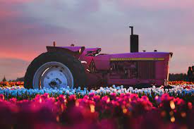 john deere tractor in flower farm 4k