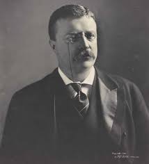 In 1910, he entered politics, winning roosevelt enters the white house. Biography Theodore Roosevelt American Experience Official Site Pbs