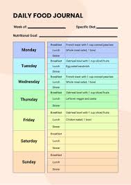 daily food journal nutrition chart in