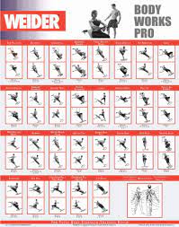 printable weider ultimate body works