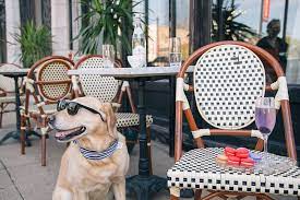 best dog friendly patios to visit in