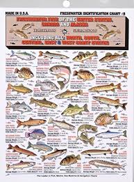 Tightline Publications Freshwater Identification Chart Great For Beginners
