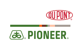 Image result for dupont pioneer logo