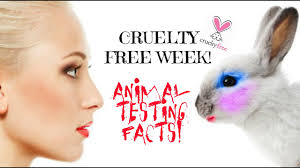 cosmetics testing facts