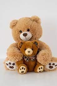 47 000 teddy bear pictures