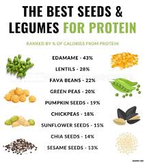 the top 20 highest protein nuts and seeds