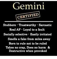 It isn't unusual to find one who wears a special gemstone or has a small tattoo of the gemini symbol. Gemini Birthday Memes