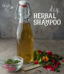 homemade herbal shoo