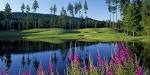 Gold Mountain Golf Course - The Olympic - Golf in Bremerton ...