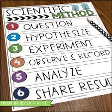 Science Tools And Expectations Anchor Charts