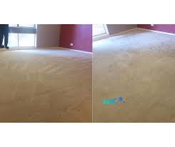 carpet cleaning perth nice n clean