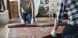 carpet cleaning nolensville tn safe