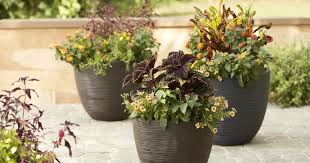 planters stands window boxes at