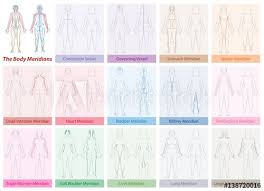 Body Meridian Chart Of A Womans Body With Names And