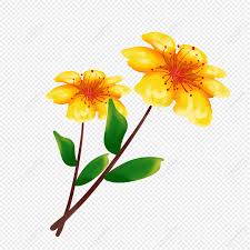 beautiful yellow flower png images with