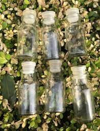 Vintage Clear Glass Bottles With Lid