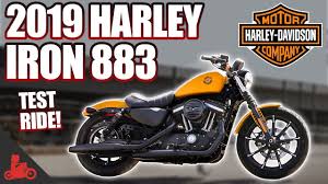 While great effort is made to ensure the accuracy of the information on this site, errors do occur so please verify. 2019 Harley Davidson Iron 883 Test Ride Youtube