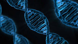 Books have been written on the ethics of all sorts of genetic engineering, but the controversy reignited by the crispr studies focuses on genetic modification of humans. Ethical Issues In Genetic Engineering Online Essay Writing Service
