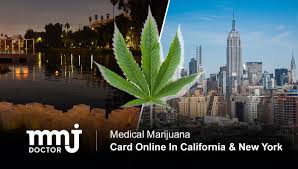 Find a medical marijuanas doctor in your state. How To Get Mmj Card Online In Ca Ny Mmj Doctor