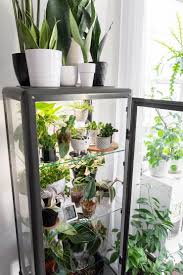 If you go about it the right way, creating a diy greenhouse could prove substantially cheaper. How To Hack An Ikea Glass Cabinet To Make A Greenhouse Ikea Plants Ikea Greenhouse Cabinet House Plants Decor