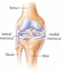 3 types of meniscus tear treatment