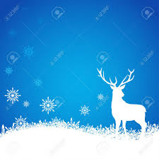 Blank Template For Cover Background Or Card Design With Christmas
