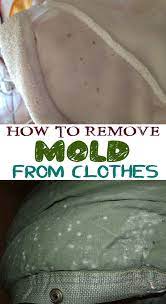 But try not to damage the fabric in the process! How To Remove Mold From Clothes House Cleaning Routine Mold Remover Remove Mold From Clothes Get Rid Of Mold