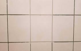 how to get mold out of grout lines