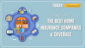 Live Insurance Info gambar png