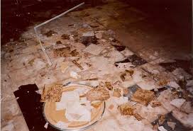 Remove baseboards as part of your prep too, so that you can fully clean your tile. Https Mde Maryland Gov Programs Air Asbestos Documents Faq Homeowners 2015 Pdf