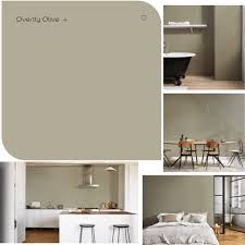 What Colours Go With Overtly Olive