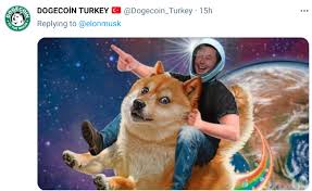 Elon musk mentioned dogecoin on saturday night live during his opening monologue. Gnl0kbzg3w4 Om