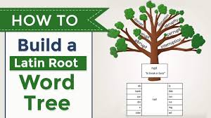 teach latin roots with word trees