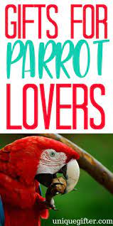 20 gift ideas for parrot