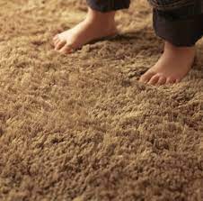 what is plush carpet northside floors