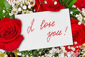 lovely romance rose bonito roses