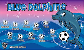 blue dolphins 1 custom vinyl banner