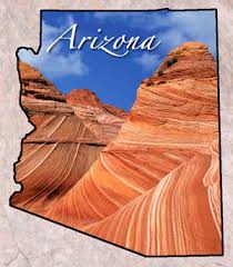 Did you know that each nation. Arizona Fun Facts State Symbols Photos Visitor Info