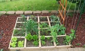 square foot gardening ideas and tips