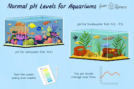 Aquarium Water Ph Maintenance
