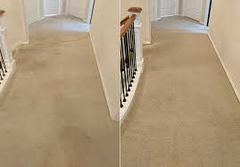 north seattle carpet cleaning