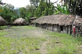 Indonesia adalah negara yang kaya akan ragam adat dan kebudayaannya. Bukan Hanya Honai Ada Juga Rumah Adat Papua Lainnya Ketahui 3 Rumah Adat Di Papua Semua Halaman Bobo