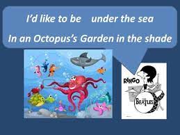 octopus garden vocals you